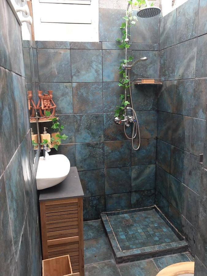 Gîte pour 4 personnes, avec jardin et jacuzzi à La Saline les Bains - 4