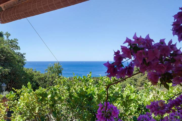Apartamento entero, Villa Fiorita - Apartamento Bouganville en Elba entre mar y naturaleza in Morcone (Capoliveri), Capoliveri