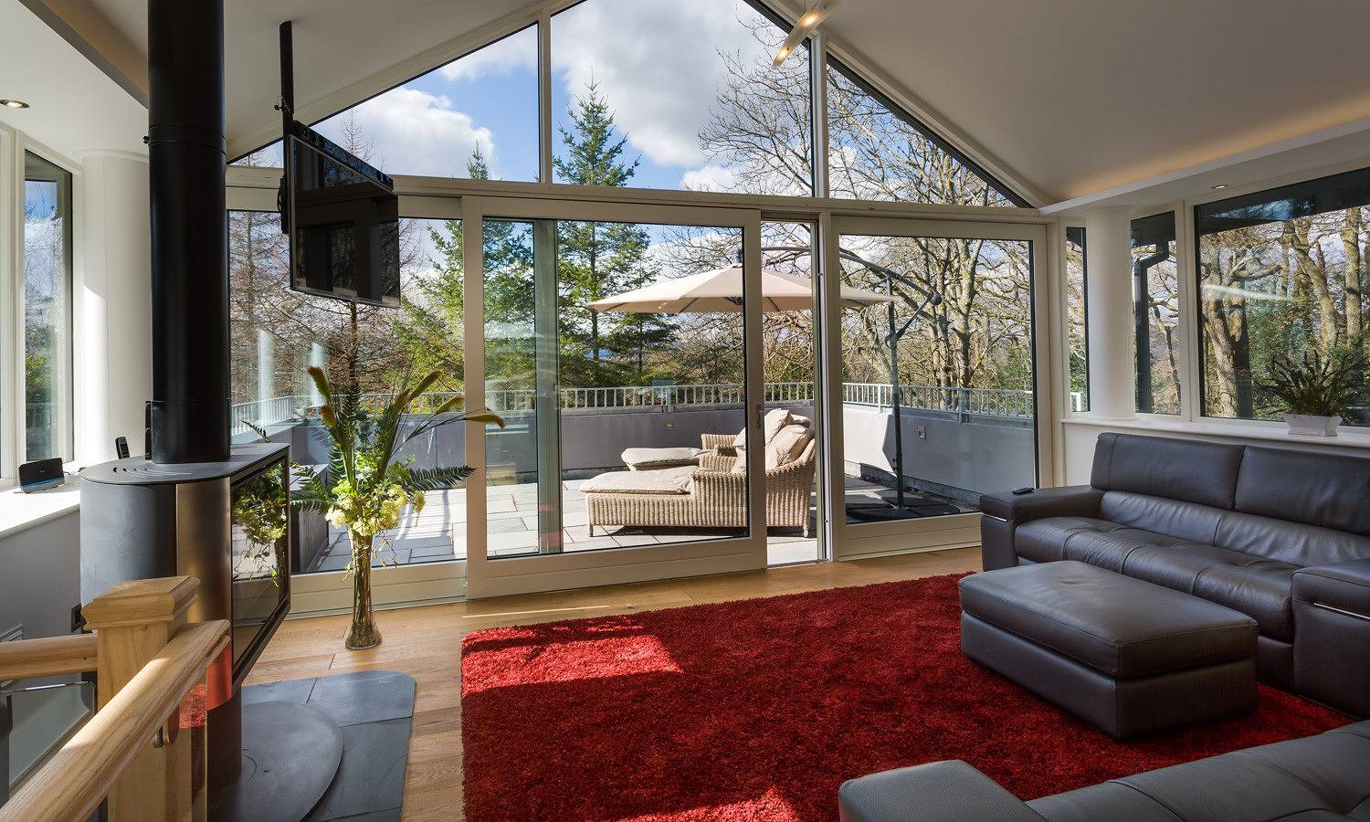 Tall Trees in Lake District