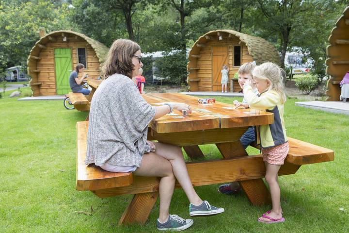 Vakantiehuis voor 4 personen in Hoenderloo