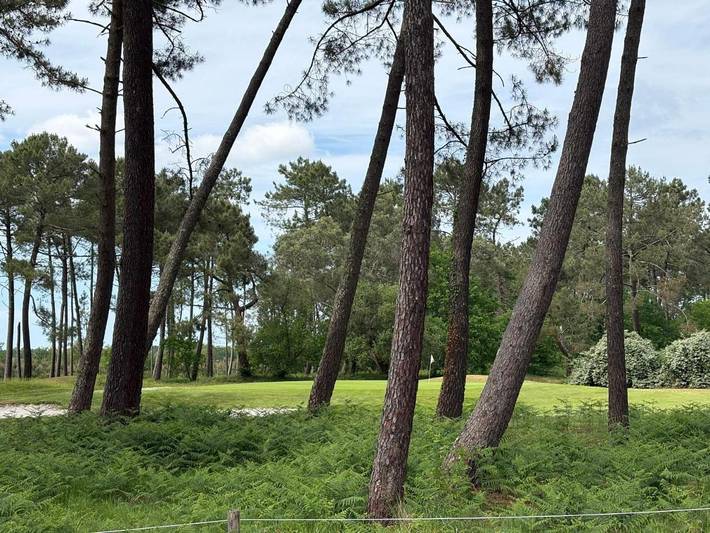 Gîte pour 8 personnes, avec jardin ainsi que piscine et vue dans Golf Blue Green Gujan - 2
