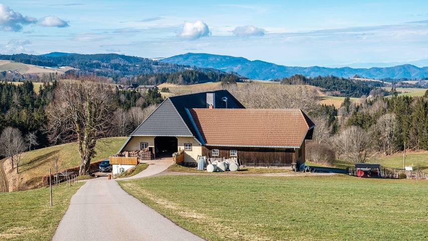 Ferienwohnung für 5 Personen, mit Garten, kinderfreundlich in St. Märgen