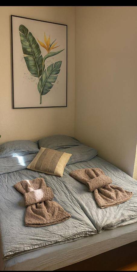 Vakantiewoning voor 4 personen in Fribourg