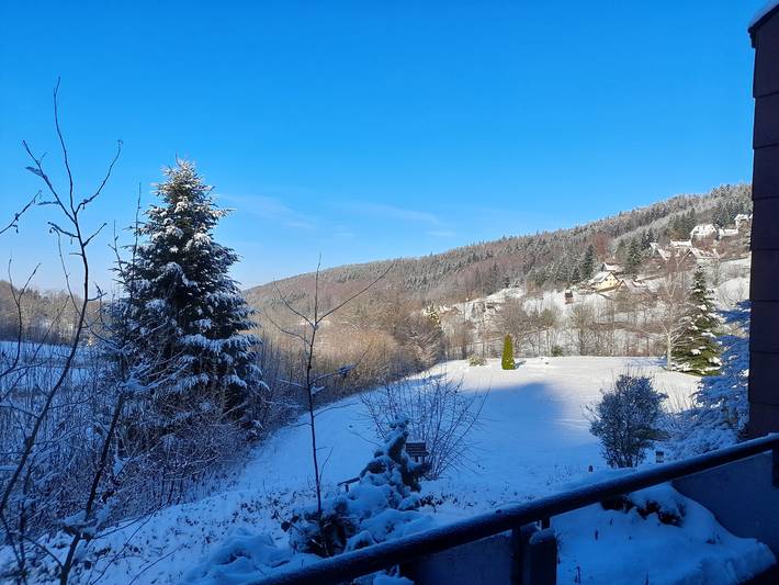 Ferienwohnung für 3 Personen, mit Garten und Sauna in Sasbachwalden - 4