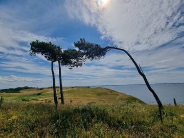 Ferieudlejning til 4 Personer i Havnsø, Nordwestseeland, Billede 2