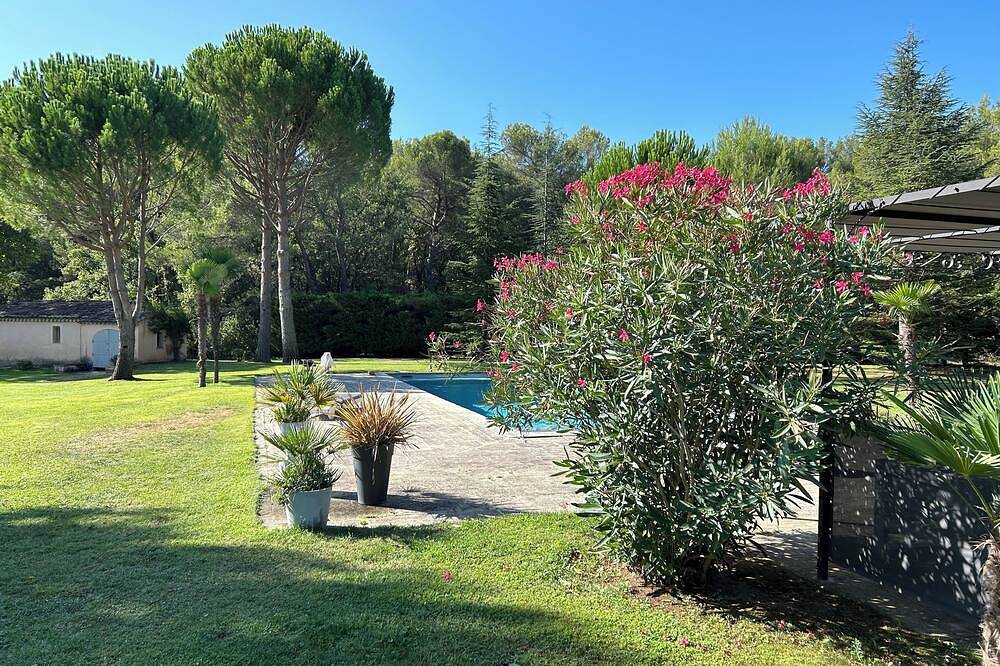 Pretty Country Cottage In Magnificent Olive Grove in Trets, Aix-en-Provence region