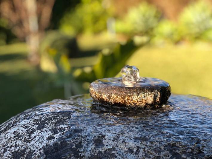 Chambre d’hôte pour 4 personnes, avec jardin dans Australie - 4