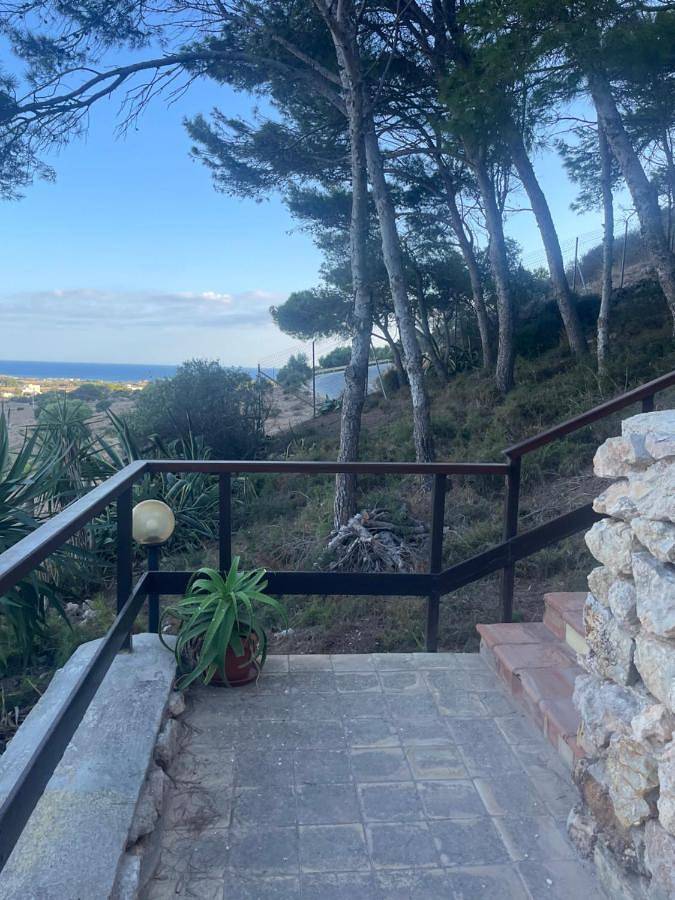 Location de vacances pour 3 personnes, avec jardin et vue, animaux acceptés à Favignana - 4