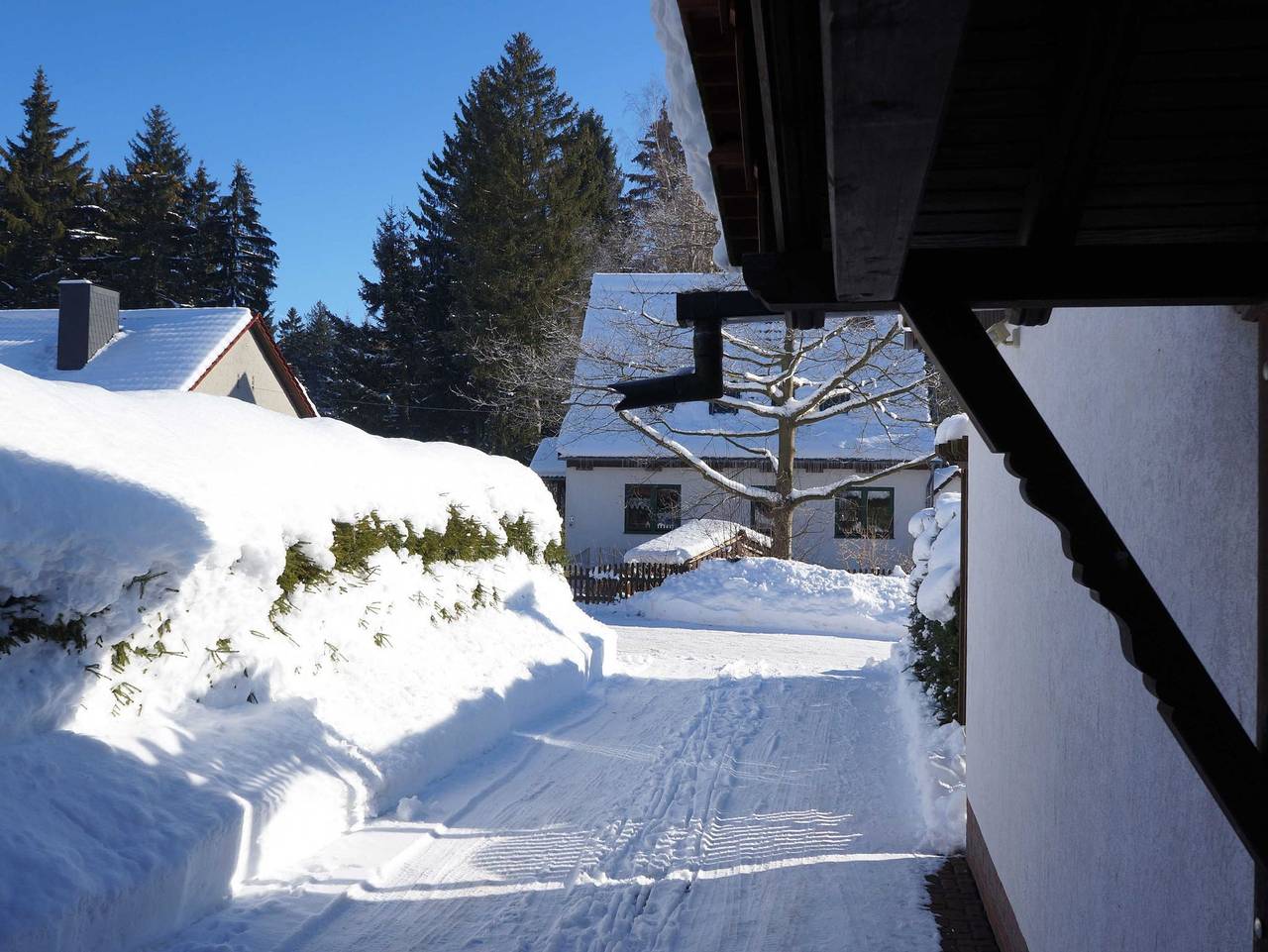 Ganze Ferienwohnung, Ferienhaus am Wald - Einzelstandort mit Wallbox - Ferienhaus Anders in Hasselfelde, Harzvorland