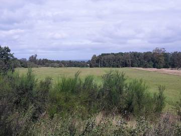 Ferienhaus für 6 Personen in Glesborg, Djursland, Bild 4