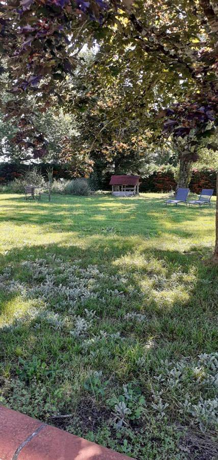 Location de vacances pour 2 personnes, avec piscine et vue ainsi que terrasse et jardin à Nègrepelisse - 2