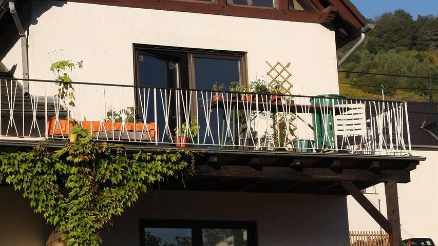 Ferienwohnung für 2 Personen, mit Terrasse, kinderfreundlich in Reil