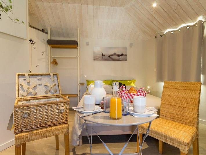 Cabane perchée avec lit king-size, salle d'eau, kitchenette, Tv, Wi-Fi et petit-déjeuner inclus in Port-Saint-Père, Région de Nantes