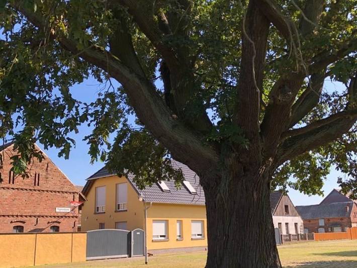 Ganze Ferienwohnung, Ferienhaus zur Eiche am Dorfanger - Ferienwohnung Claudia kl. Fw in Waldow/ Brand, Schönwald (Brandenburg)