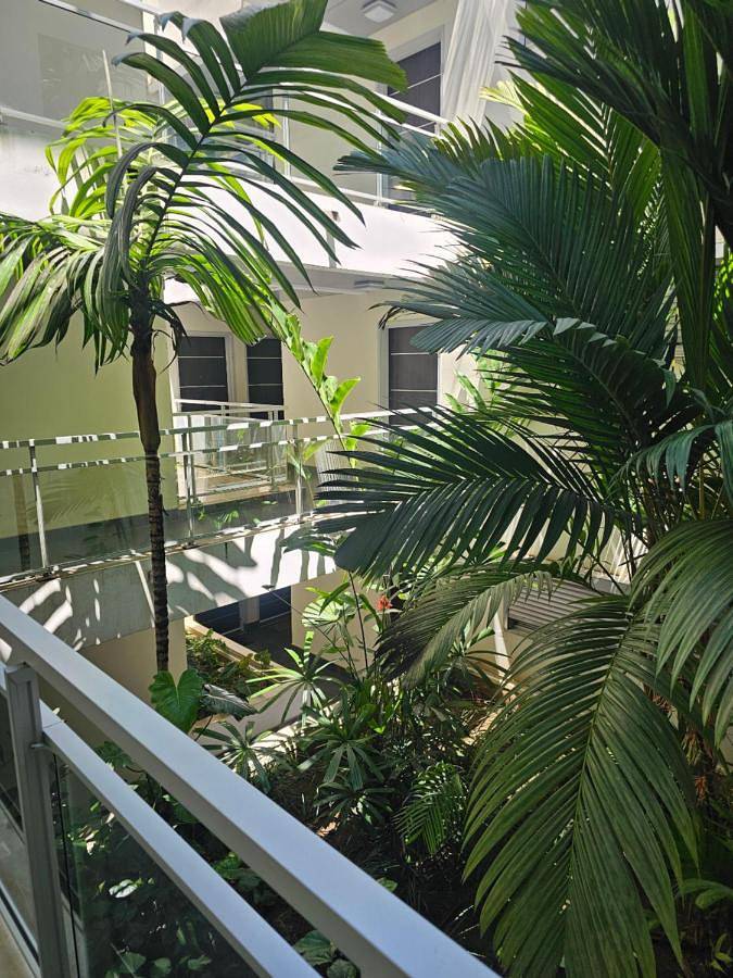Gîte pour 6 personnes, avec vue ainsi que piscine et balcon à Nouméa - 3