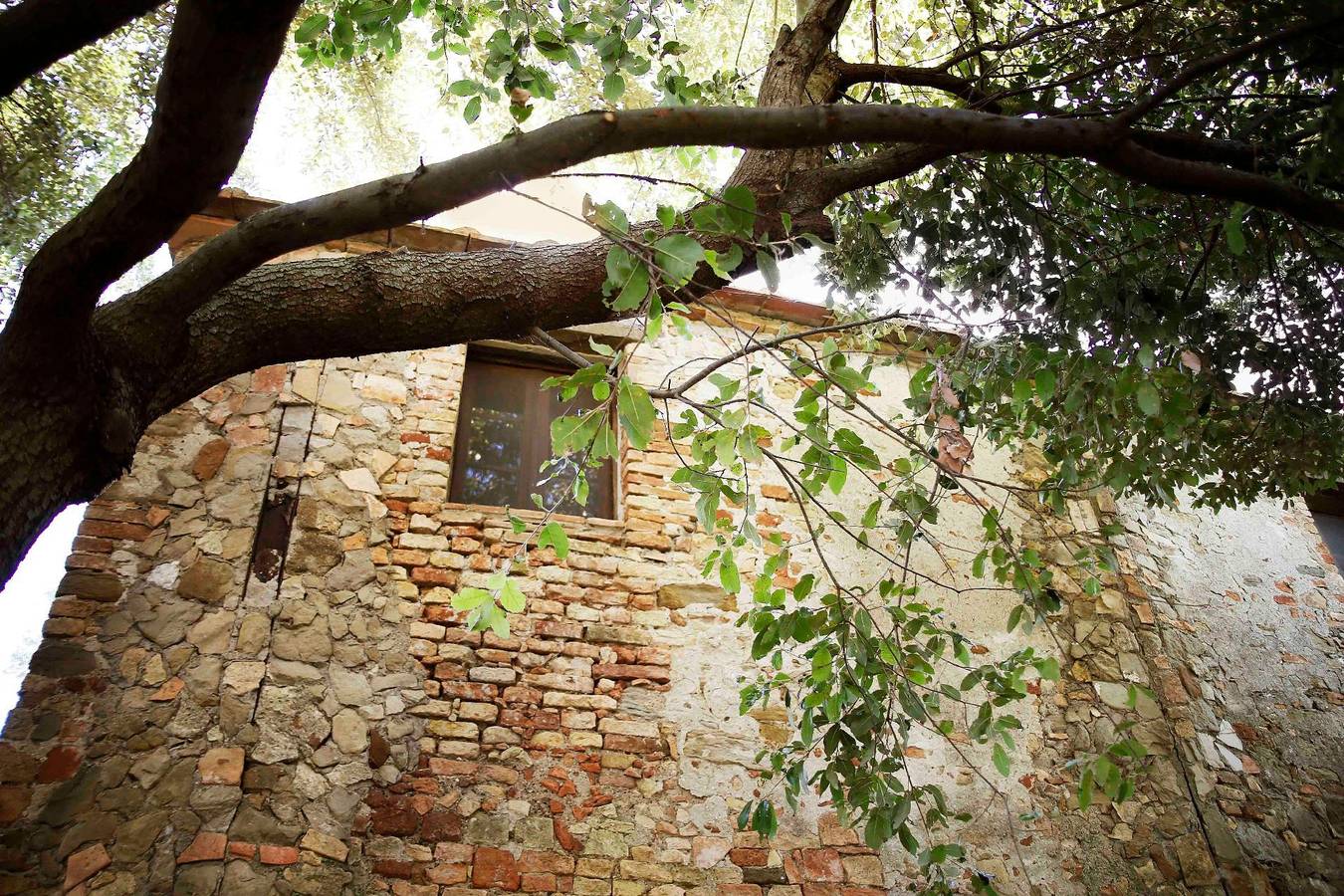 Casa Il Sàrperi in Montecatini Val di Cecina in Montecatini Val di Cecina, Côte des Étrusques