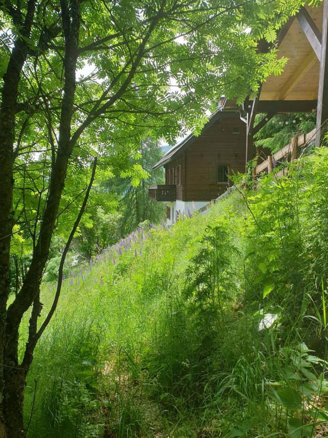 Three-Bedroom Chalet in Sankt Oswald (Bad Kleinkirchheim), Bad Kleinkirchheim