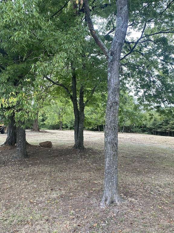 Camping for 6 Guests in Virginia, USA