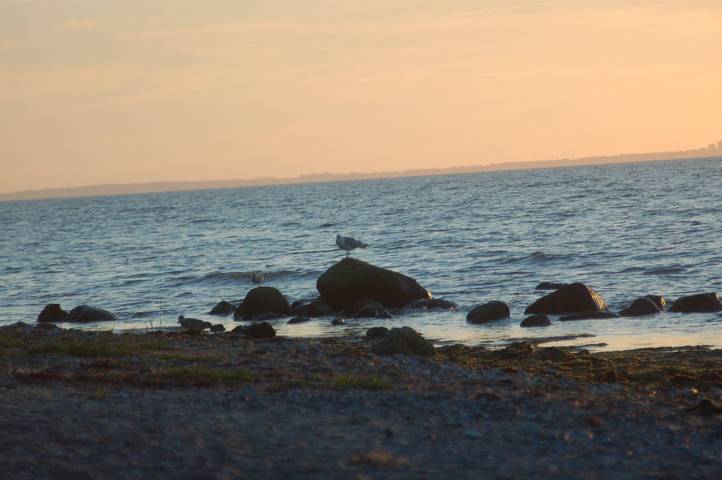 Ferienwohnung für 6 Personen, mit Garten, kinderfreundlich in Klütz - 4