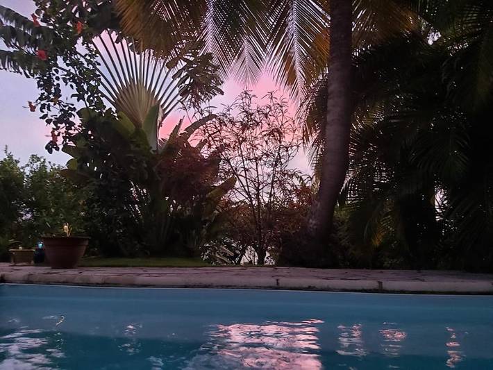 Chambre d’hôte pour 4 personnes, avec jardin et piscine en Martinique - 2