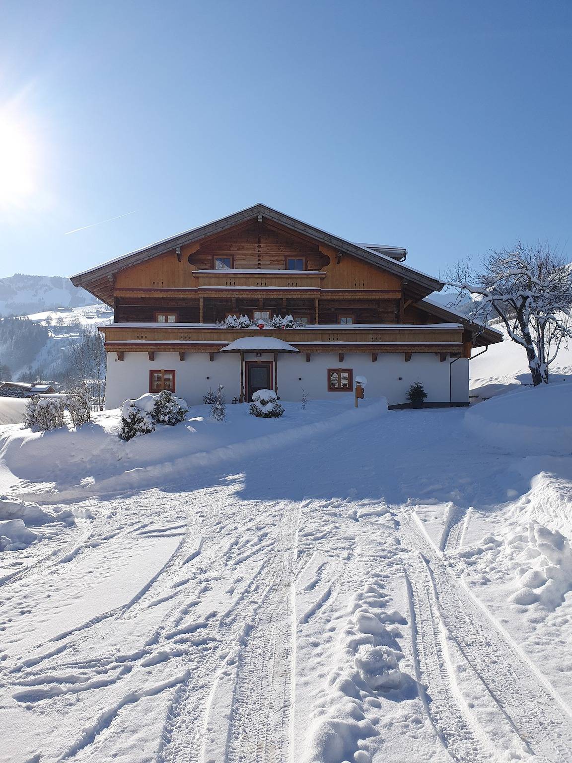 Ganze Wohnung, Ferienwohnung "Steinernes Meer" mit Balkon, Bergblick auf einem Biohof in Maria Alm, Pinzgau