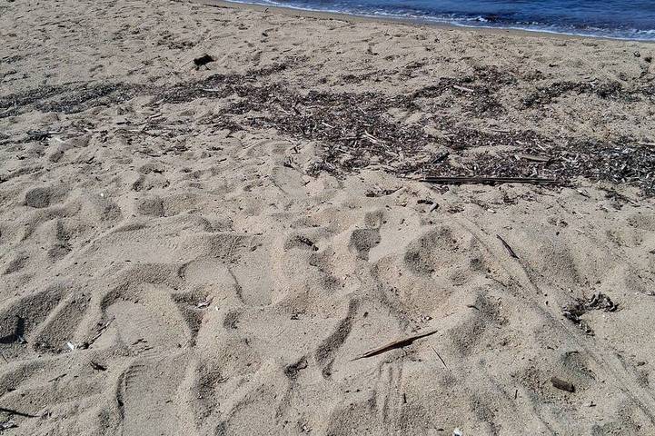 Ferienwohnung für 4 Personen, mit Pool und Garten sowie Balkon in Cogolin