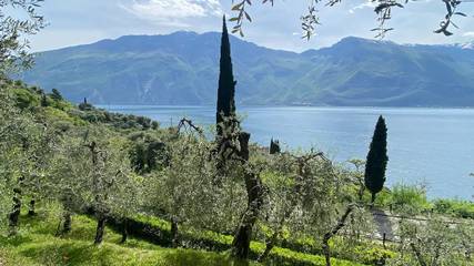 Apartament Wakacyjny dla 3 osoby w Limone sul Garda, Góry Garda, Zdjęcie 4
