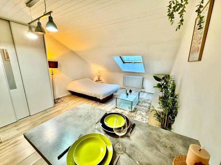 Gîte pour 2 personnes, animaux acceptés à Marignier - 4