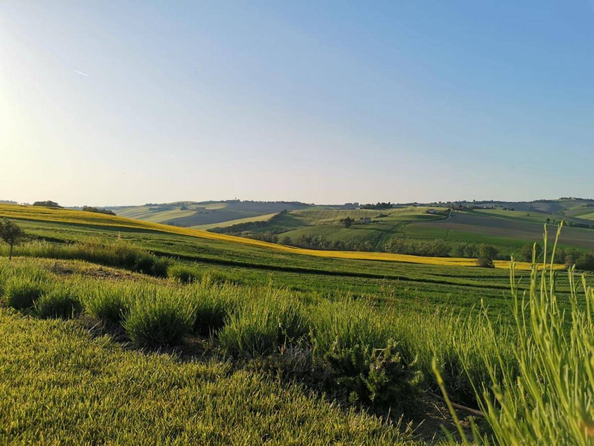 Villa with Private Pool in Cingoli, Macerata Provinz