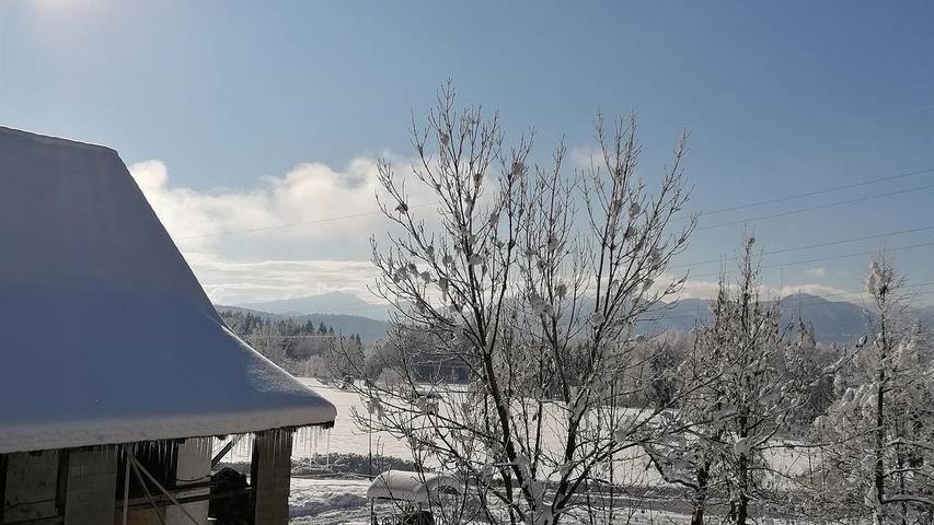 Ferienwohnung für 5 Personen, mit Balkon und Garten am Millstätter See - 4