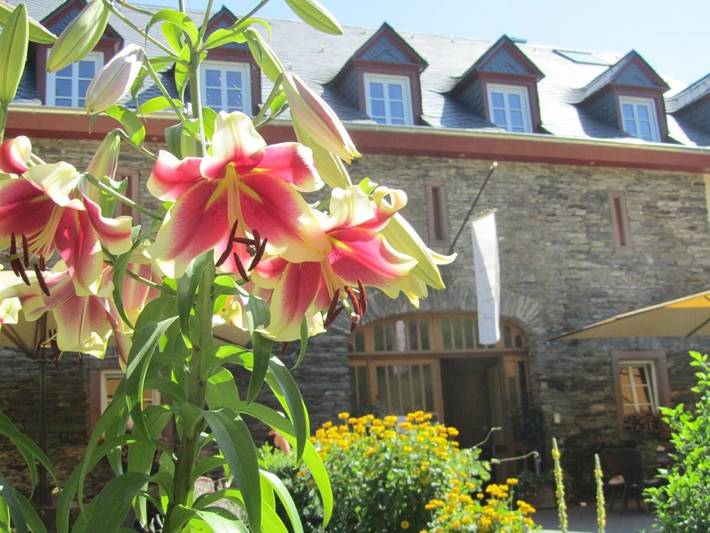 Hotel für 2 Personen, mit Terrasse und Garten in Brauneberg - 4