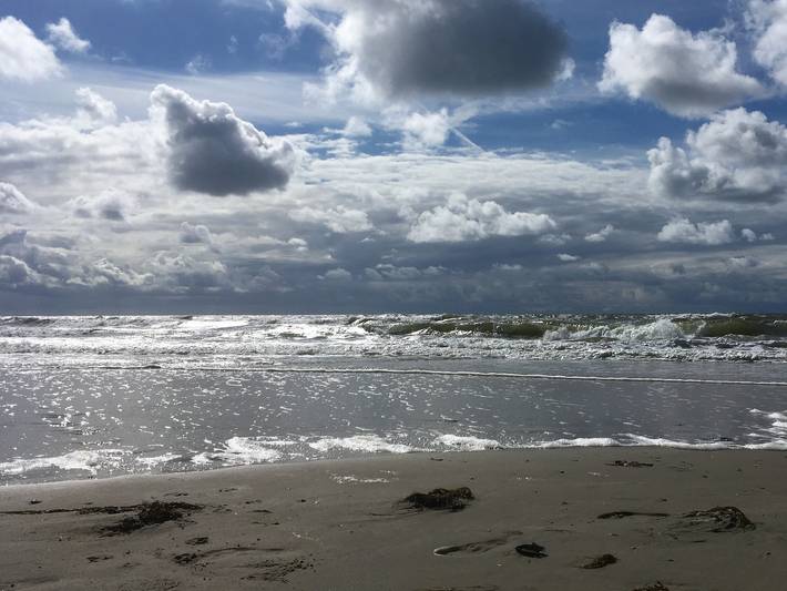 Ferienwohnung für 2 Personen, mit Garten, mit Haustier in Biikebrennen - 2