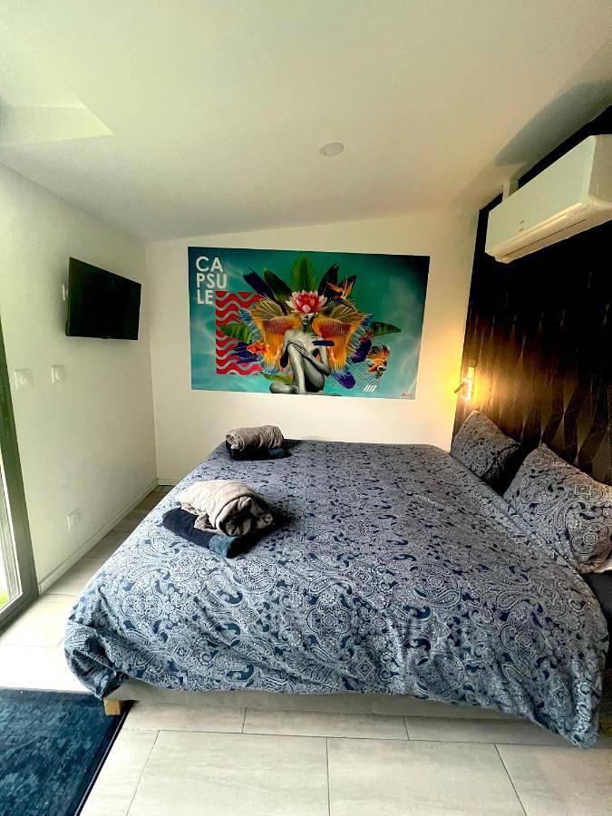 Gîte pour 4 personnes, avec jardin ainsi que jacuzzi et terrasse à Valenciennes - 3