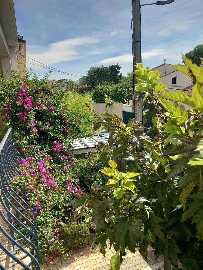 Villa pour 6 personnes, avec vue ainsi que jardin et piscine, adapté aux familles à Montpellier - 3