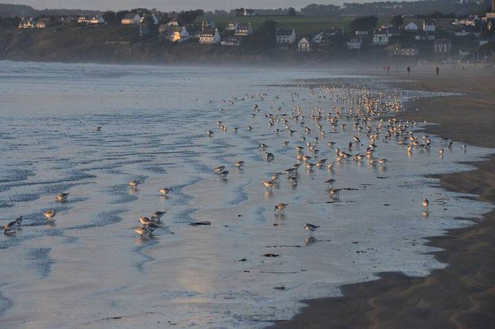 Gîte pour 4 personnes dans Plage de Lestrevet