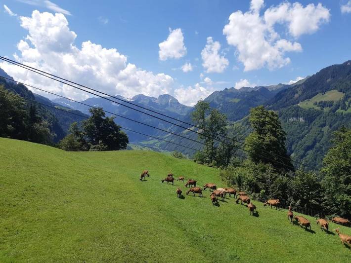 Ferienwohnung für 7 Personen, mit Balkon und Ausblick in Nidwalden - 3