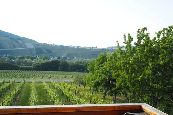 Ferienwohnung für 4 Personen, mit Garten und Terrasse, mit Haustier in Brauneberg - 4