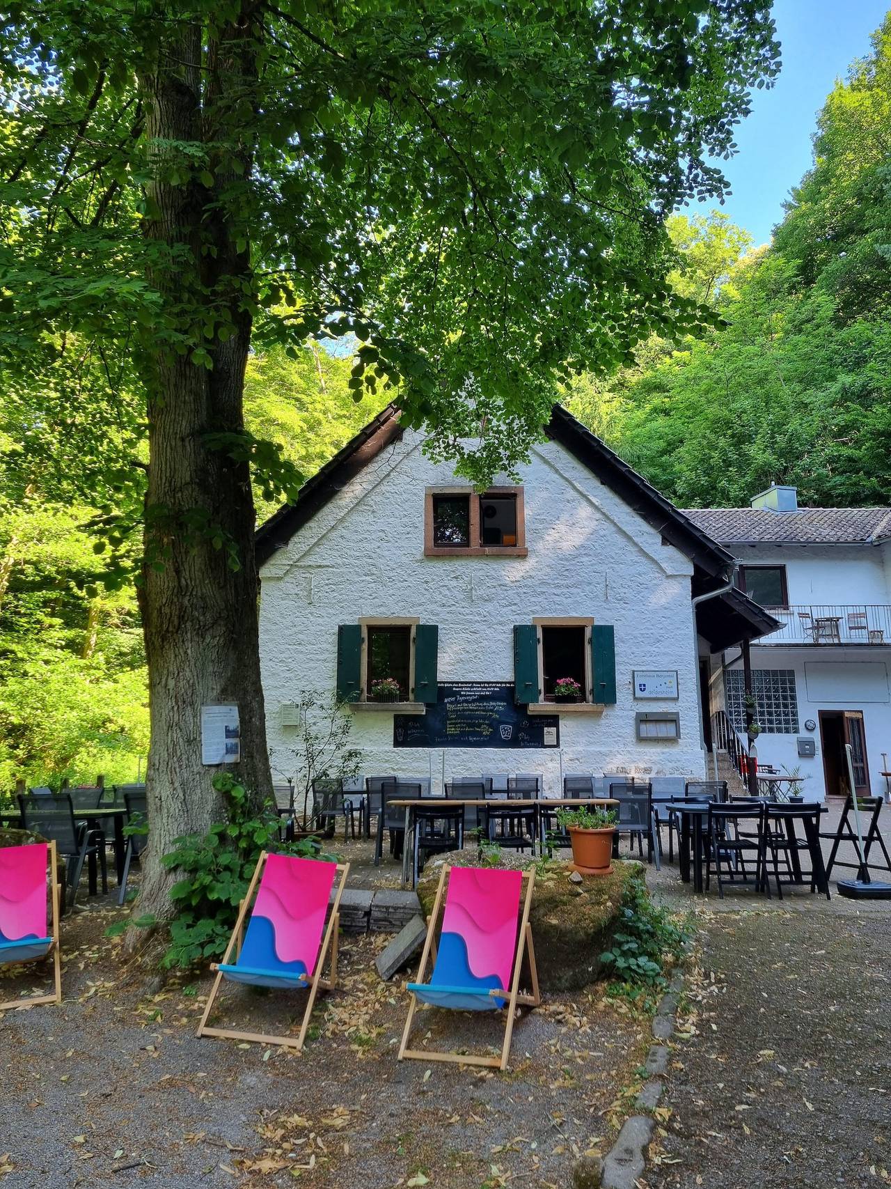 Ganze Ferienwohnung, Charlottes Waldresidenz in Deidesheim, Deutsche Weinstraße