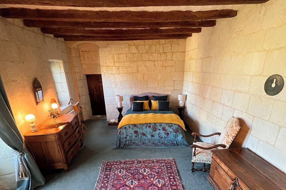 Château entier avec grande piscine chauffée au coeur des châteaux de la Loire in Beaumont-en-Véron, Vallée de la Loire