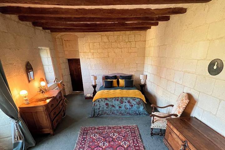Château entier avec grande piscine chauffée au coeur des châteaux de la Loire in Beaumont-en-Véron, Vallée de la Loire