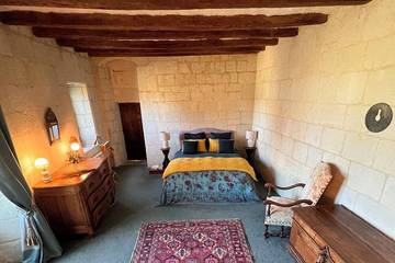 Château pour 16 Personnes dans Beaumont-en-Véron, Région de Chinon, Photo 4