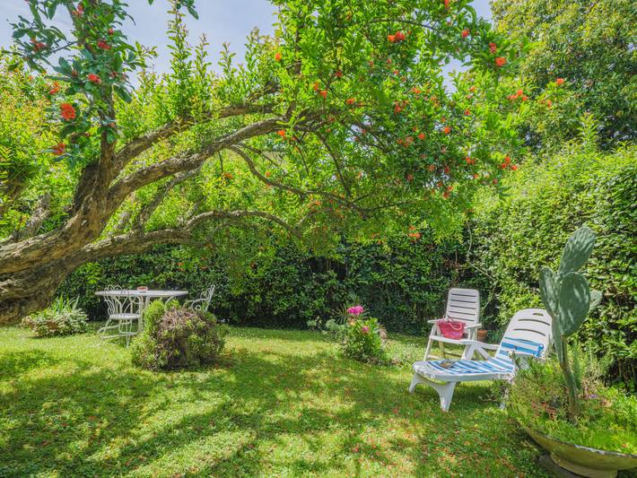 Apartamento entero, Cristina in Pietrasanta, Costa de la Maremma