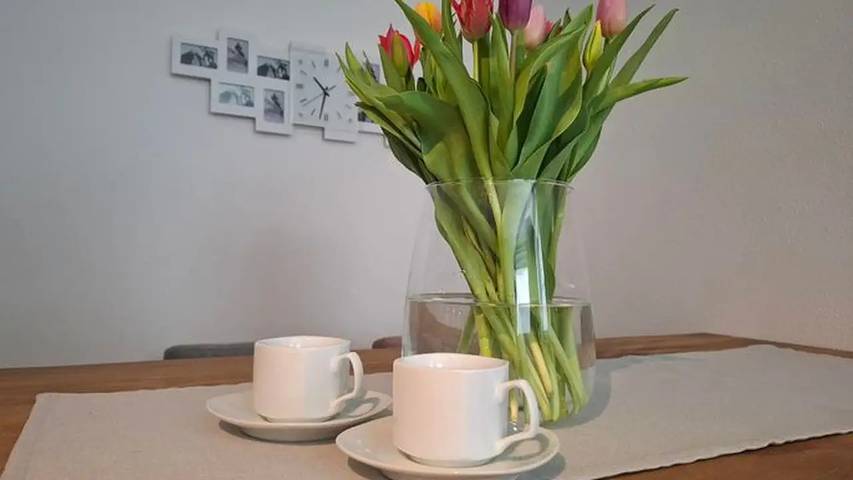 Vakantieappartement voor 3 personen - 1
