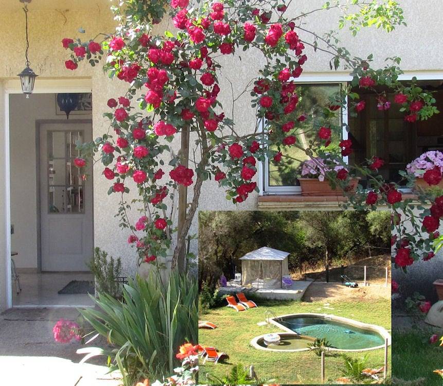 Chambres d'hôte du Pianarellu - Olmeto Corse du sud - Chambre Matisse in Olmeto, Arrondissement de Sartène