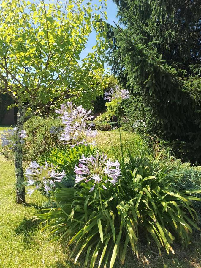 Casa rural para 4 personas, con terraza además de vistas y piscina en Mondariz - 4