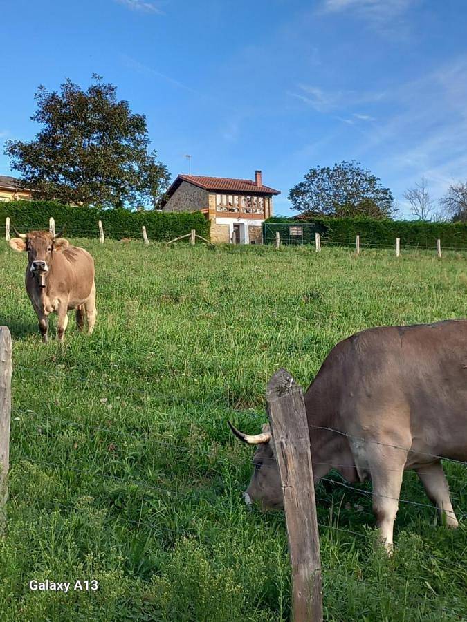 Three-Bedroom House in Cangas de Onís, Provincia de Asturias