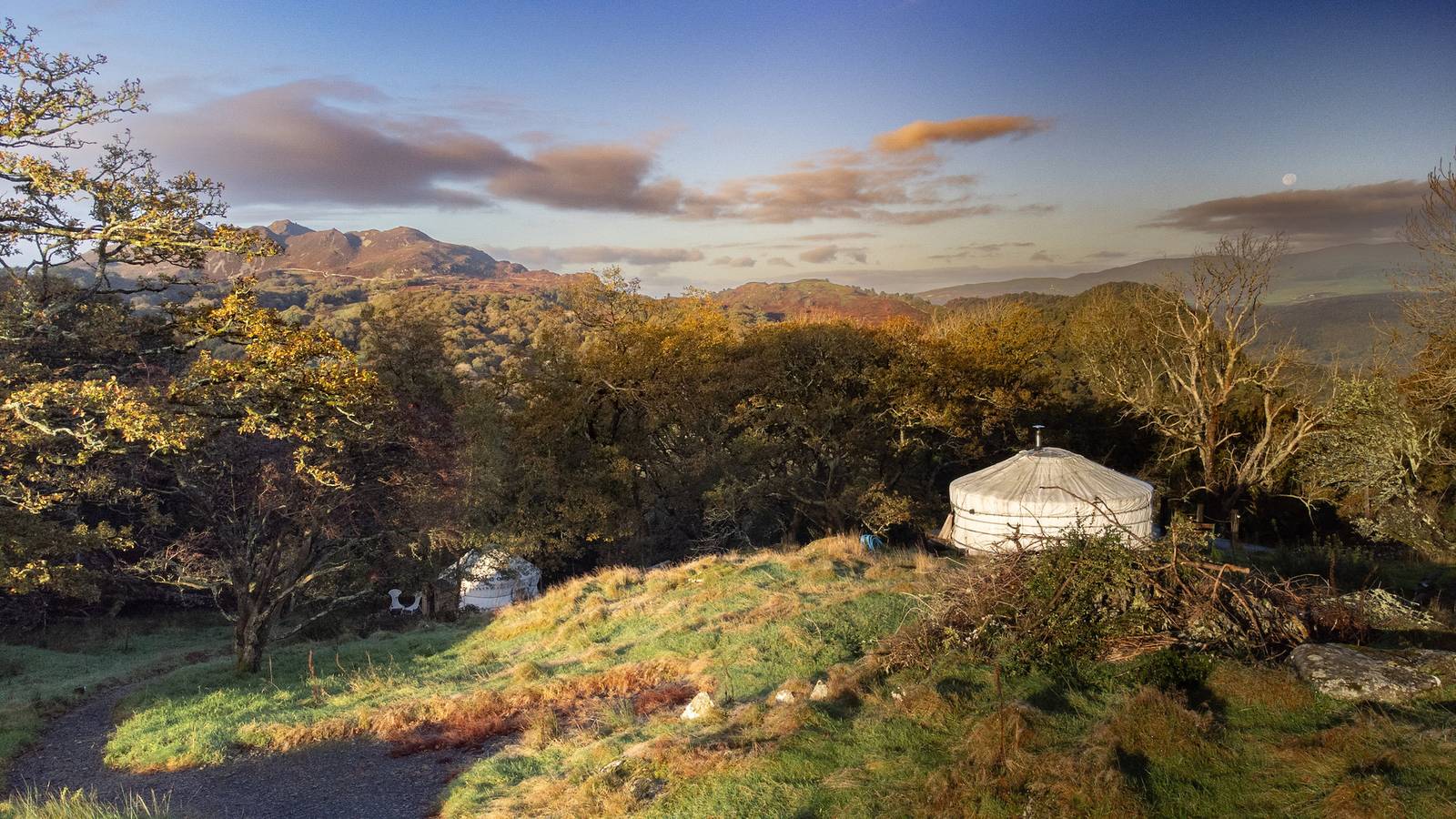 Pandy Traditional Yurt in Snowdonia