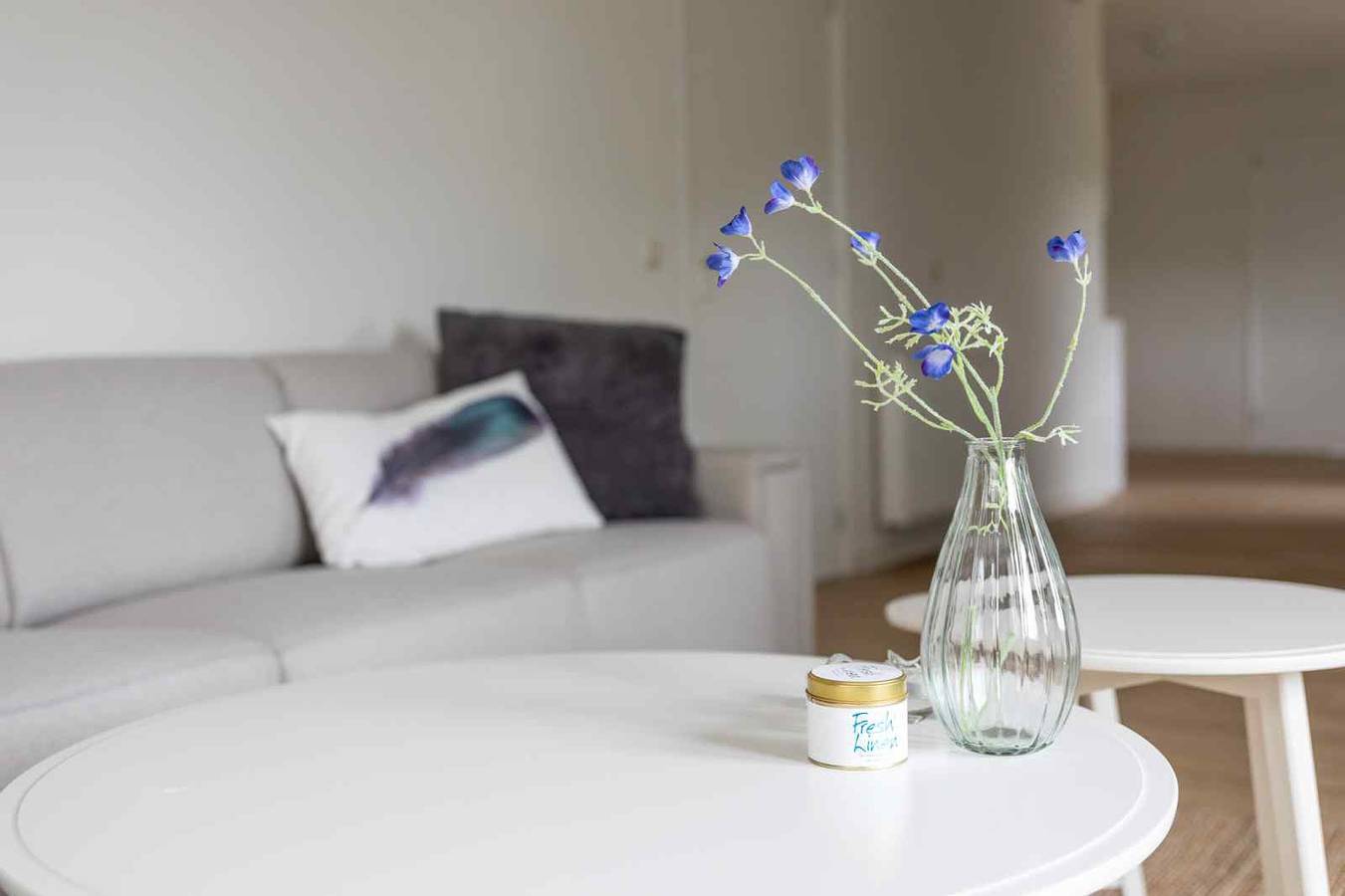 Ganze Wohnung, Schöne 16 Personen Ferienwohnung mit gratis Internet in Nes, Westfriesische Inseln