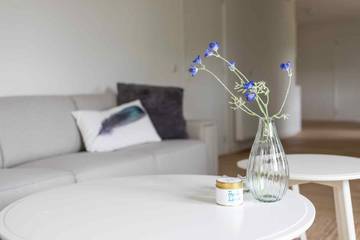 Vakantieappartement voor 16 Personen in Nes, Nederlandse waddeneilanden, Afbeelding 1