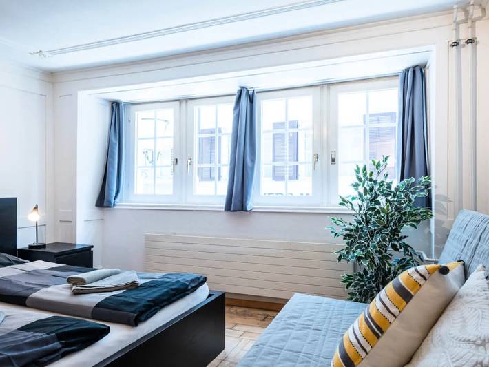Appartement entier, 1 Pièce 3 Personnes in Zurich, District de Zurich